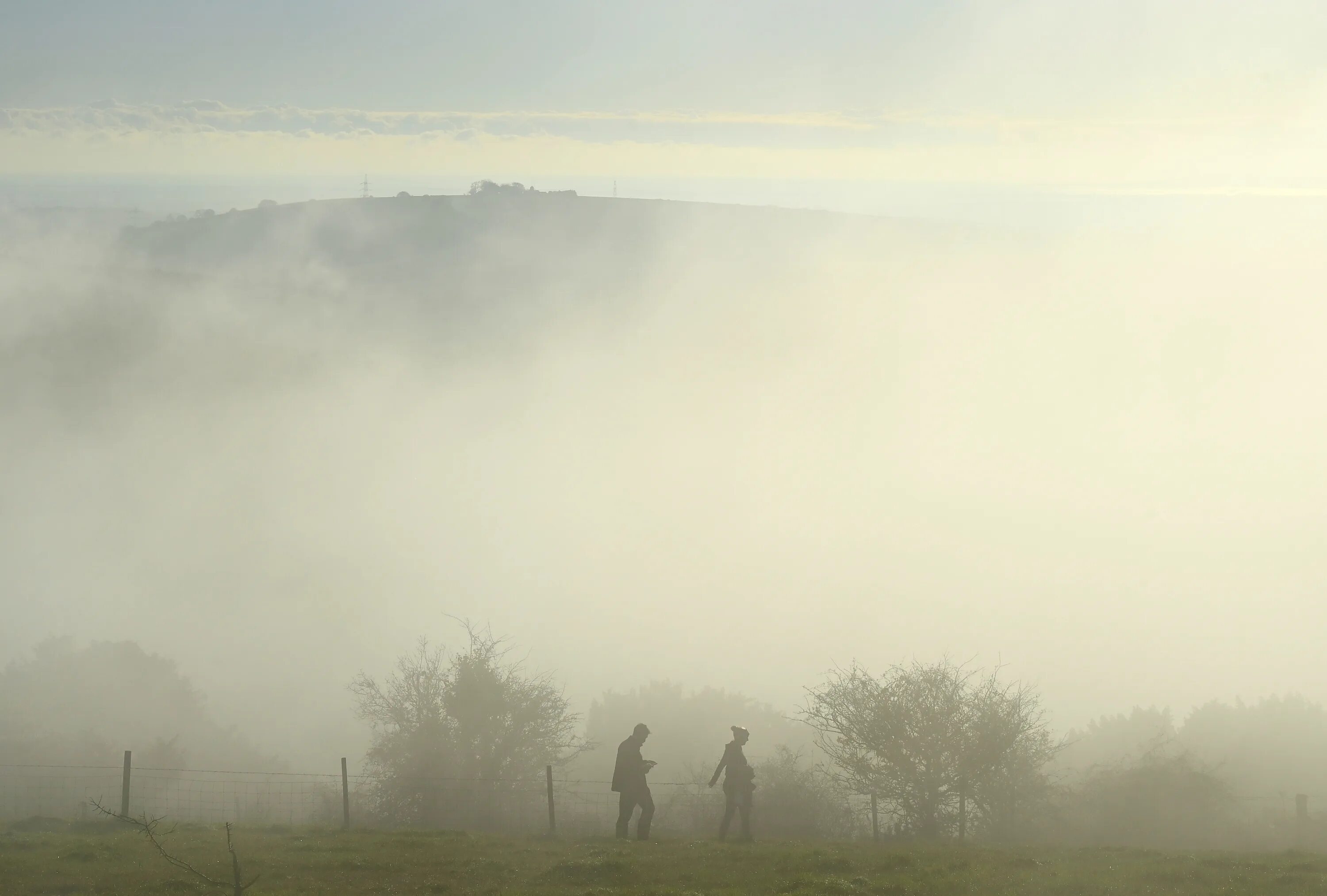 Включи fog. Погода туман. Foggy weather. Fog.