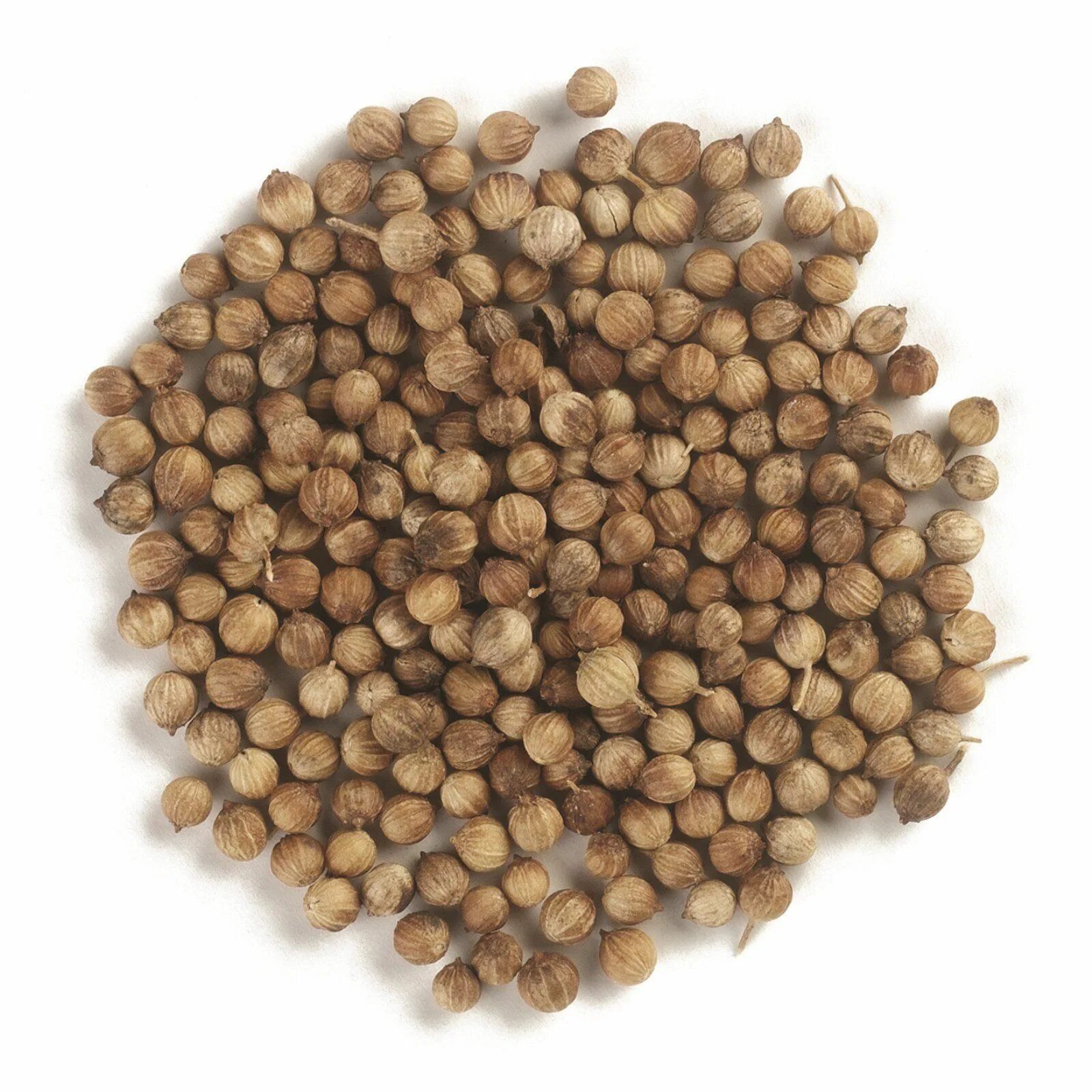 Кориандр семена Nano Sri 100 г. Кориандр это семена кинзы. Уцхо, семена (100 гр). Семена кинзы специя. Кориандр сорта