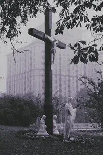 Кресты киев