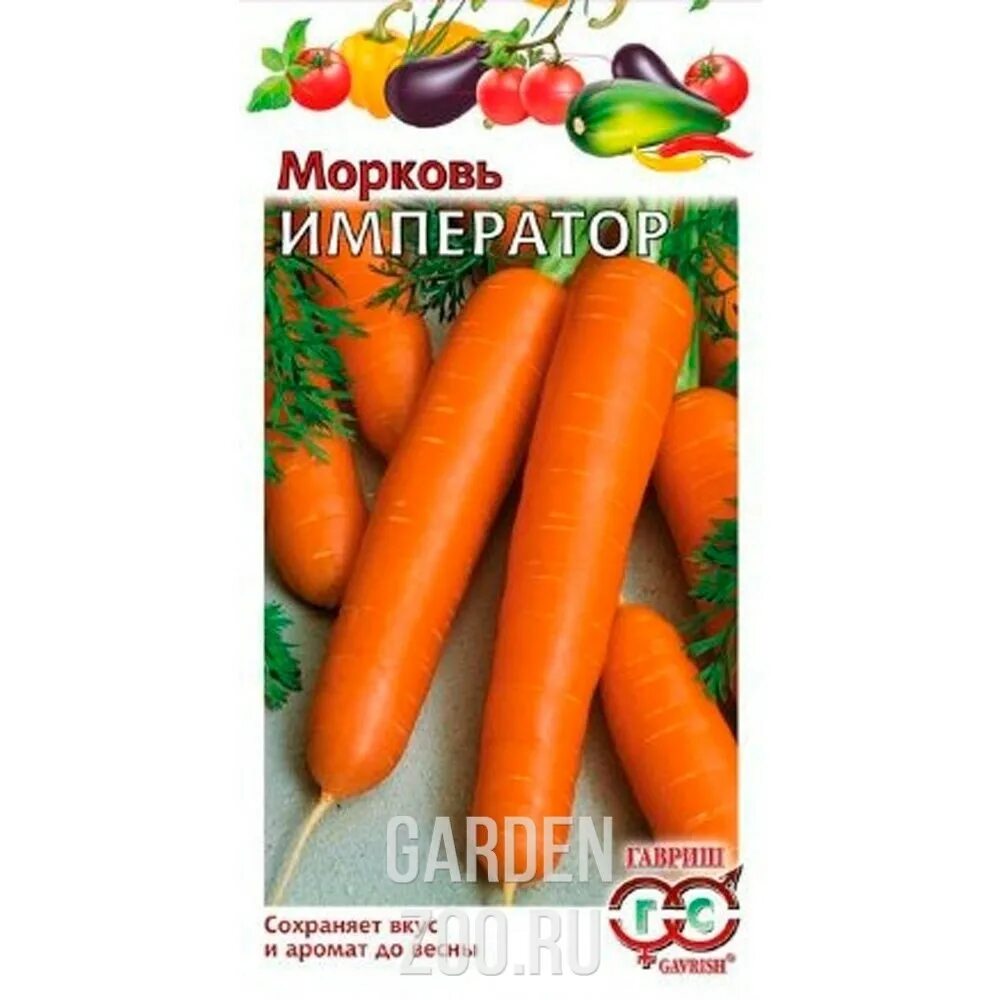 Морковь император описание сорта. Морковь император описание. Сорт моркови император отзывы описание. Поиск. Морковь император позднеспелый.
