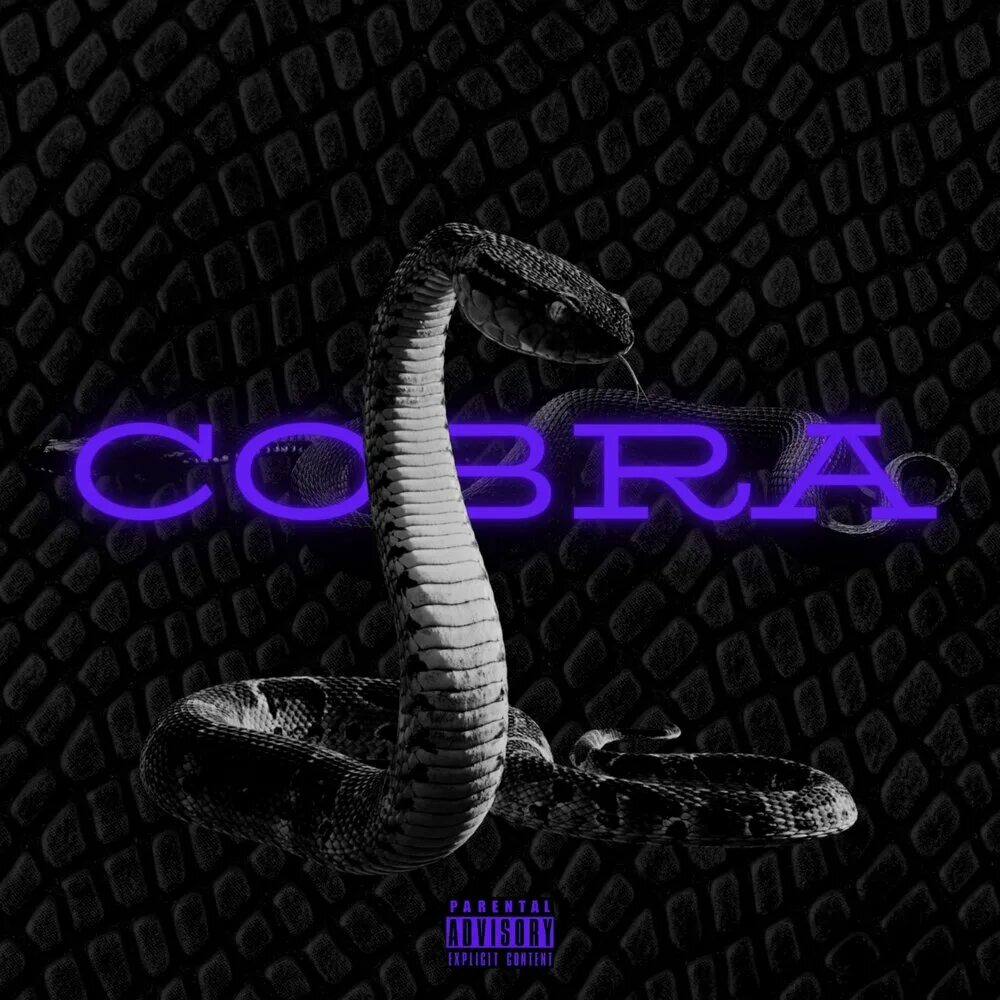 Песня cobra. Музыкальное Кобра. Мелодия для кобры. Кобра песня.