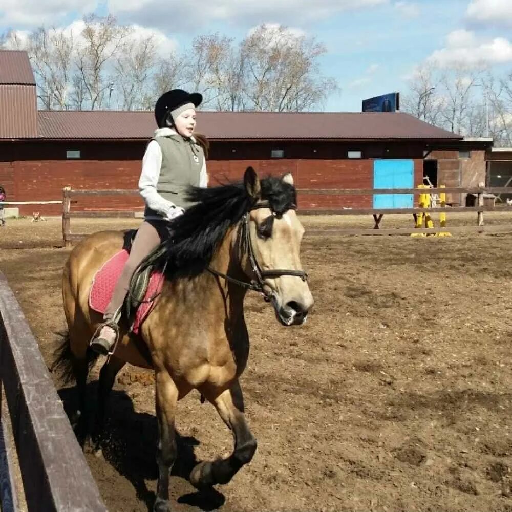 Кск середниково. Конноспортивный комплекс. Конюшни вронского балашиха. Картинки андеренда в балашихе. Атаман балашиха.