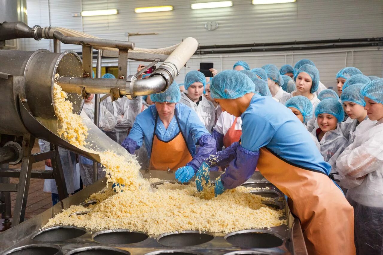 завод переработки сельхозпродукции. оборудование для сортировки овощей. цех по переработке овощей. оборудование для переработки сельхозпродукции. сахарная свекла на заводе.