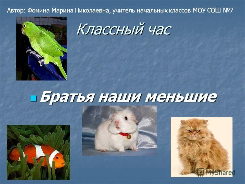 Животные наши друзья. Мы в ответе за тех кого приручили стихи. Братья наши меньшие. Наши меньшие друзья классный час 3 класс. Друзья наши меньшие.