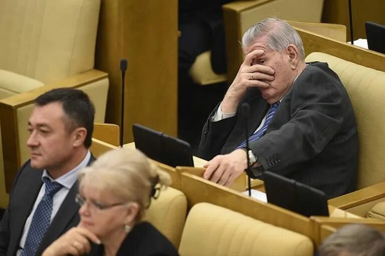 Депутаты госдумы спят на заседании. Дума дура. Хоркина в госдуме. Дума дура. Депутаты гд.