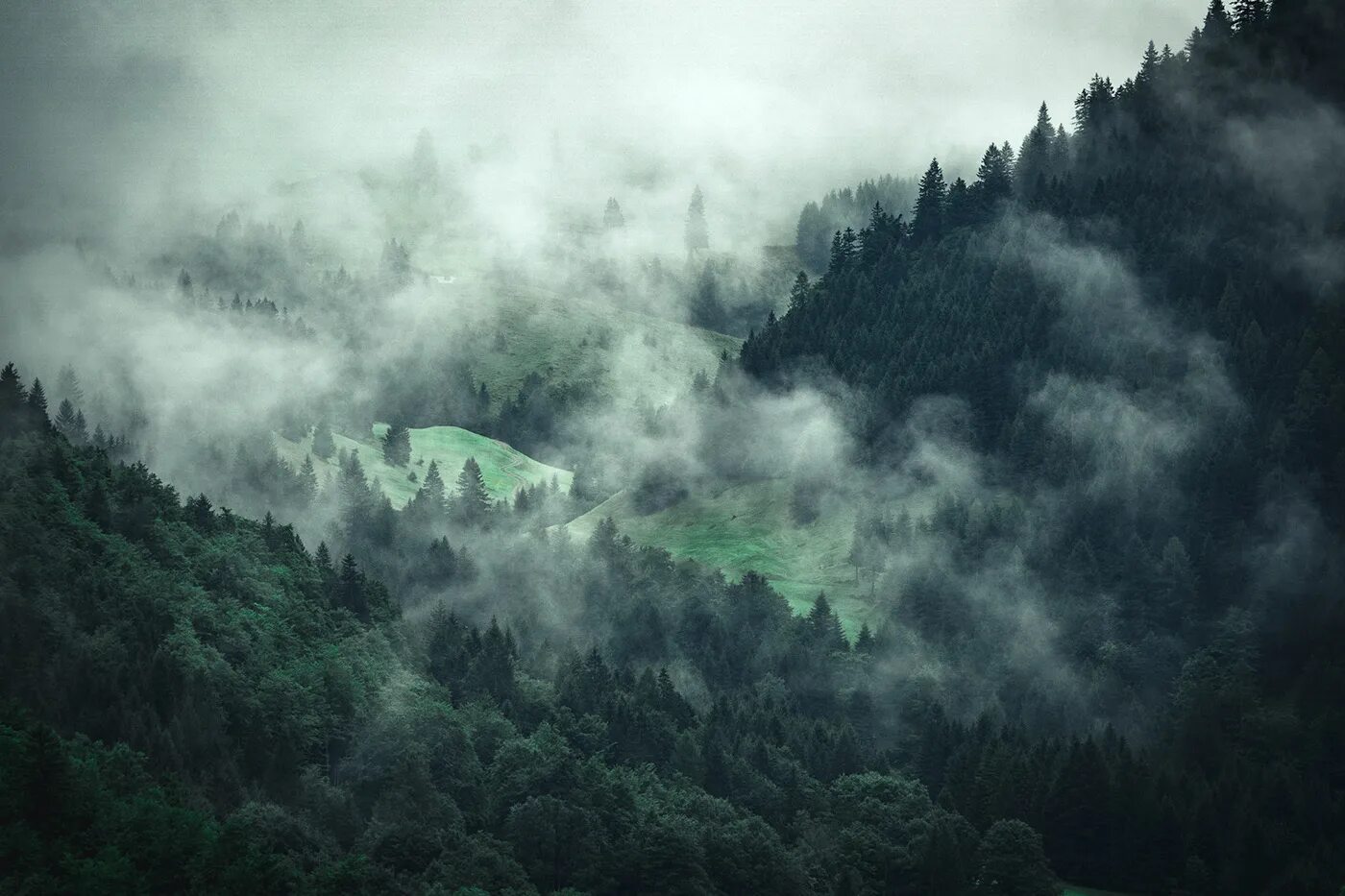 Туманный лес таганай. Скандинавский туманный лес. Лес в тумане. Пейзаж лес. Лес в тумане.