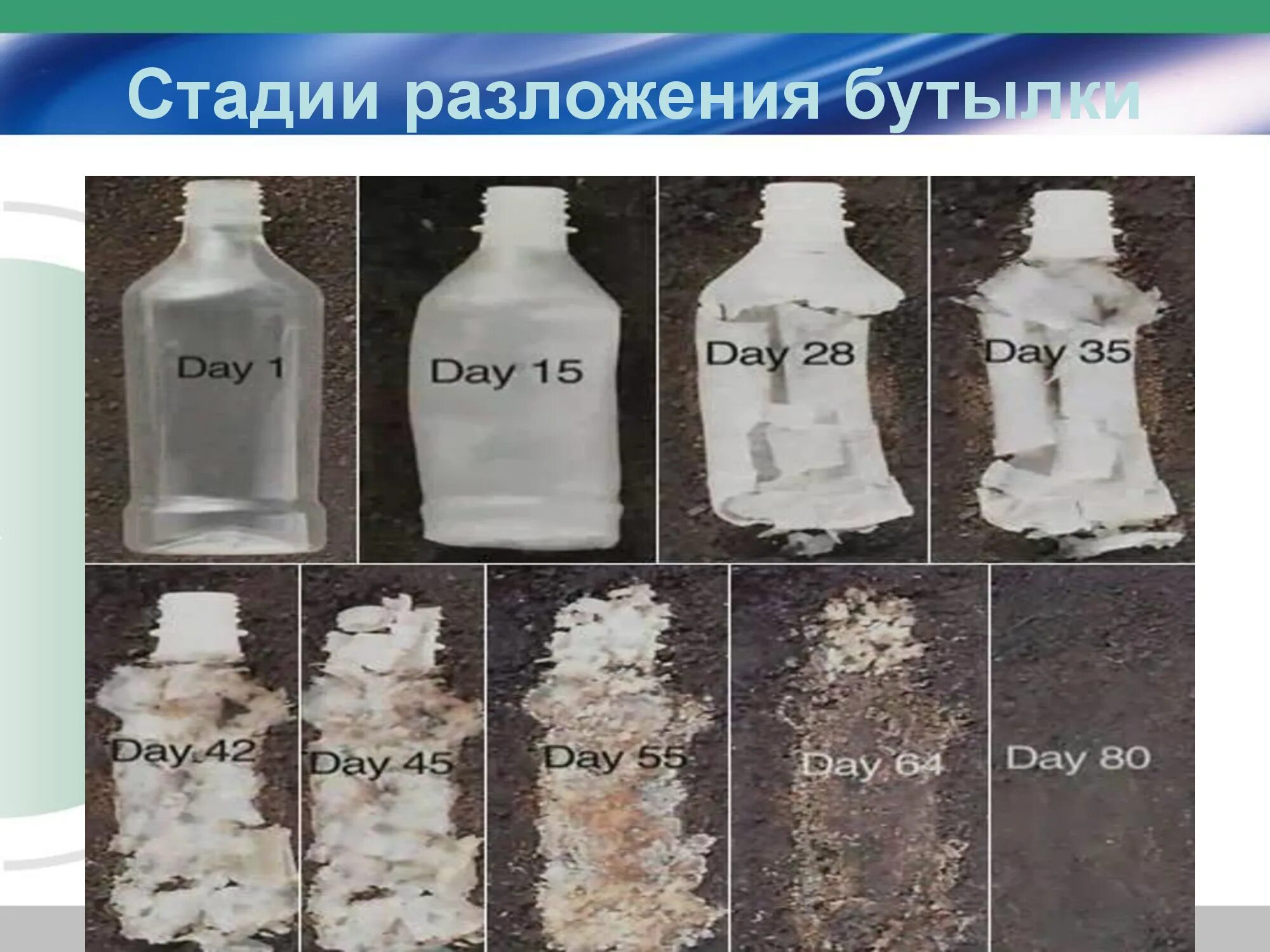 Среда разложения