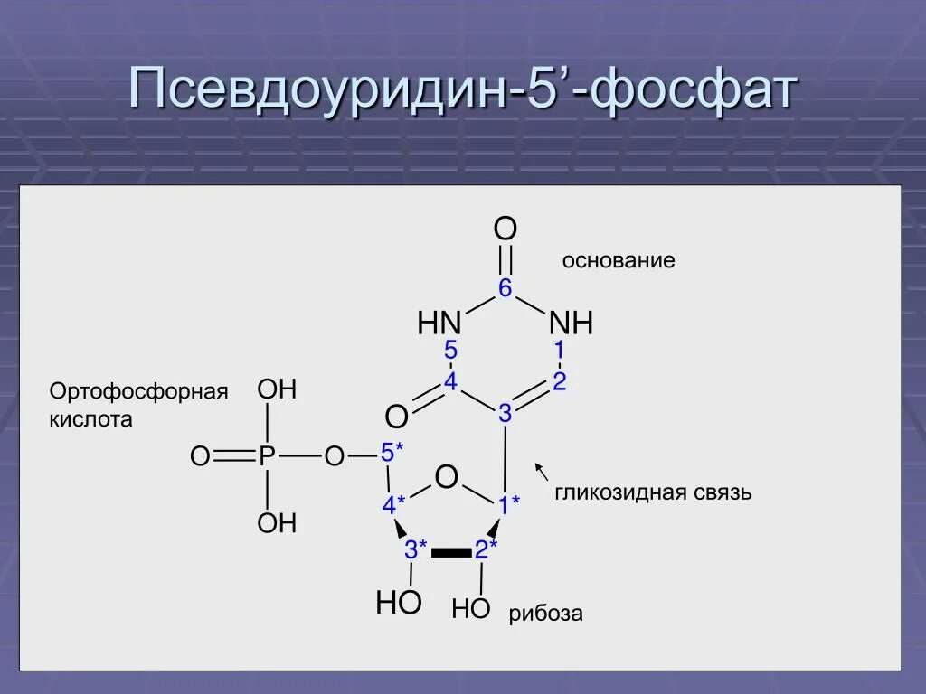 Строение нуклеотида РНК. Формула нуклеотида РНК. Структура формула нуклеотид РНК. Нуклеотиды ДНК И РНК.