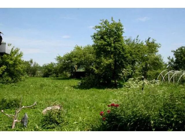 Участки под пятигорском. Дачные участки в городе пятигорске. фото земельных участков с фундаментом. фото участков под сдачу домов в аренду. сдача в аренду садовых участков в пятигорске.