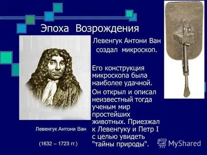 Ученый увидел клетку с помощью своего микроскопа