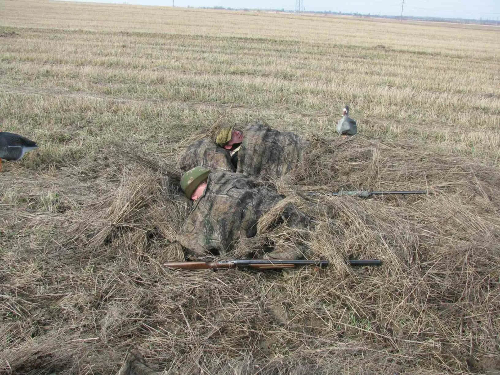 Охота 2012 кто стрелял в конце. Охота на гуся весной 2024 Тамбов. Охота на гуся весной на полях.