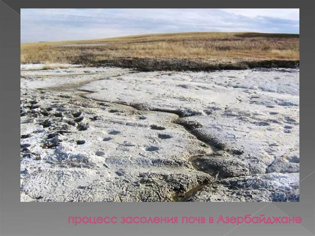 Заболачивание, засоление. Процесс засоления почв в Азербайджане. Засоление и заболачивание почв. Засоление почв пустыни России.