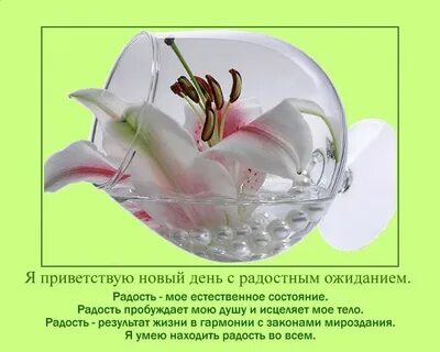 Позитивные аффирмации для женщин слушать