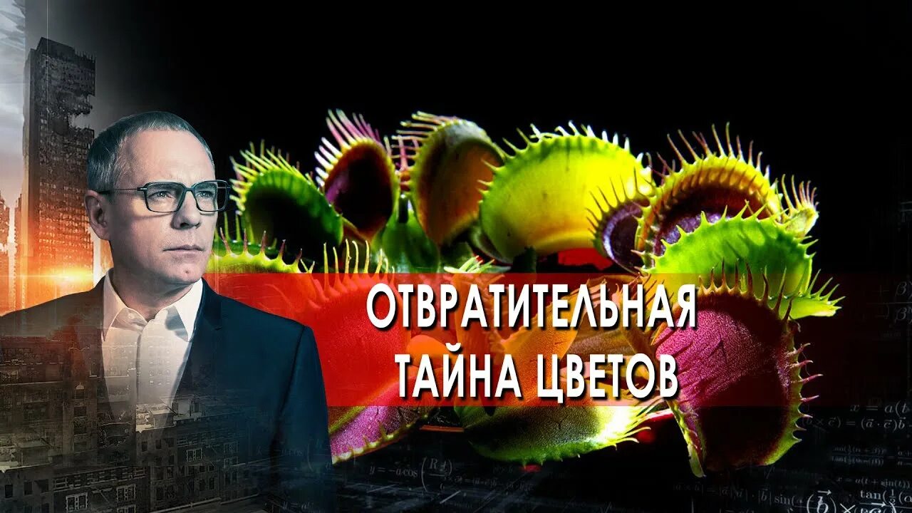 Прокопенко про гипотезы. Самые шокирующие гипотезы с Игорем Прокопенко. Самые шокирующие гипотезы с Игорем Прокопенко сегодняшний выпуск. Шокирующие гипотезы заставка. Самые шокирующие гипотезы анонсы.