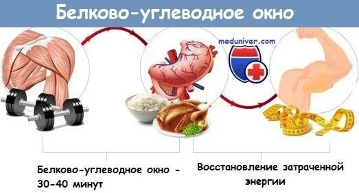 Закрыть окно после тренировки. Белково углеводное окно. белковое окно после тренировки. углеводное окно после. углеводное окно после тренировки.