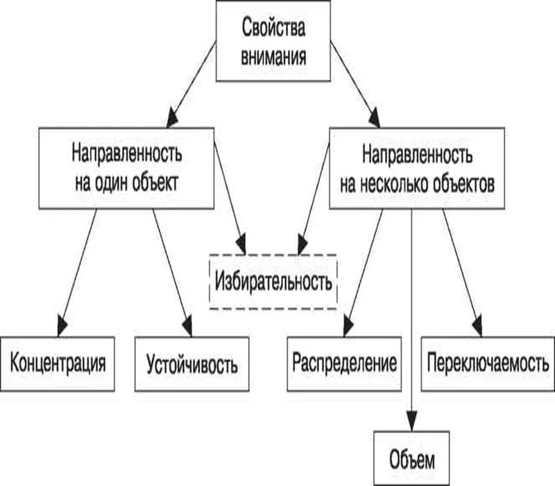 Элементы внимания. Свойства внимания в психологии. Свойства внимания в психологии схема. Свойства внимания в психологии таблица. Основные характеристики свойств внимания в психологии.