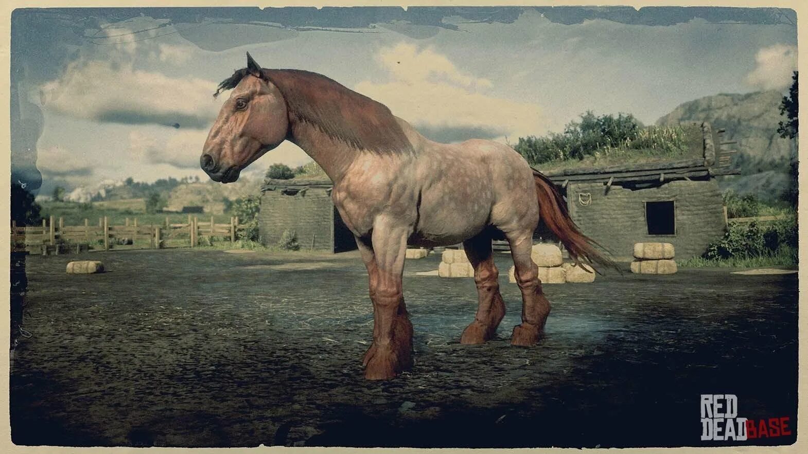 Где найти хорошую лошадь в рдр. Red dead redemption 2 ахалтекинская лошадь. ardennes horse rdr 2. rdr 2 арабская лошадь. red dead бретонская лошадь.