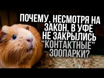 Почему не смотря на