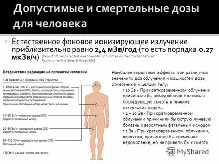 Сколько лет исчезает радиация