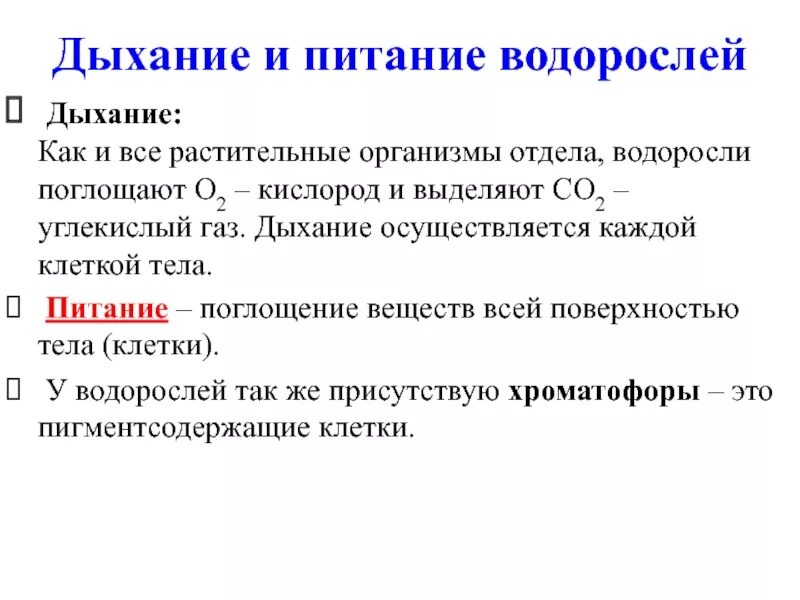 Дыхание водорослей. Как дышат водоросли. Питание водорослей. Дыхание зеленых водорослей.