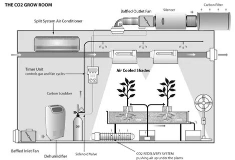 Co2 plants