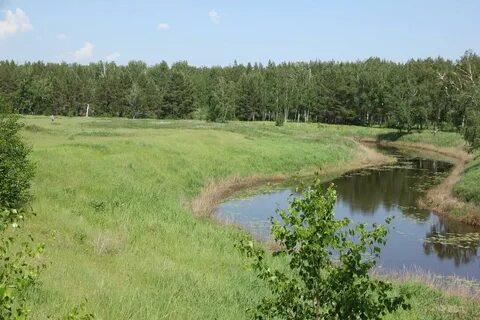 Зеленый борок курганская область