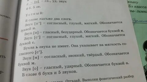 Береза 2 разбор
