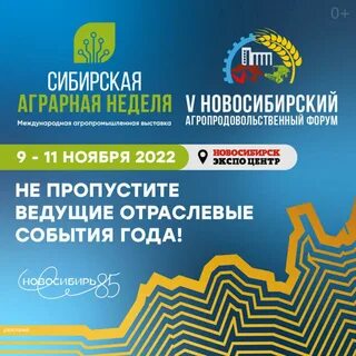 Программа 5 новосибирск