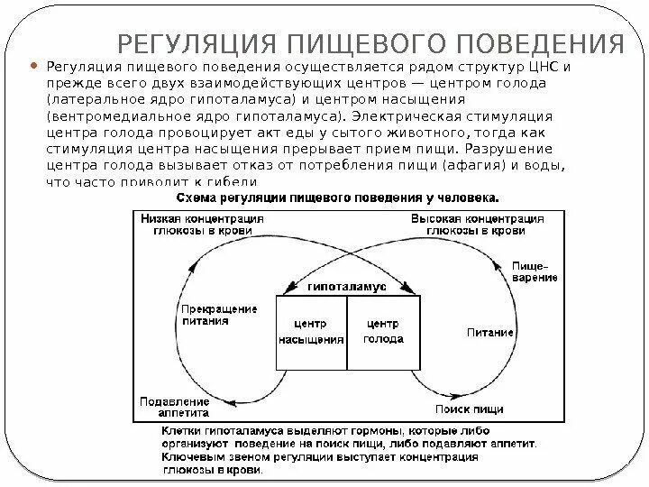 Содержит центры теплорегуляции голода и насыщения жажды. Система регуляции пищевого поведения. Регуляция пищевого поведения гипоталамуса. Схема регуляции пищевого поведения. Зарисуйте схему регуляции пищевого поведения.