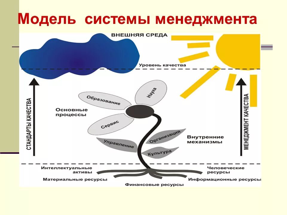 Смк просто. Система менеджмента качества. Модель системы управления. Система качественного менеджмента. Система менеджмента качества создается для.