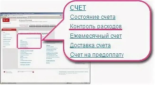 Мтс расшифровка и род