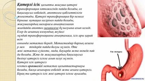 Анальды әуесқойлар форумы