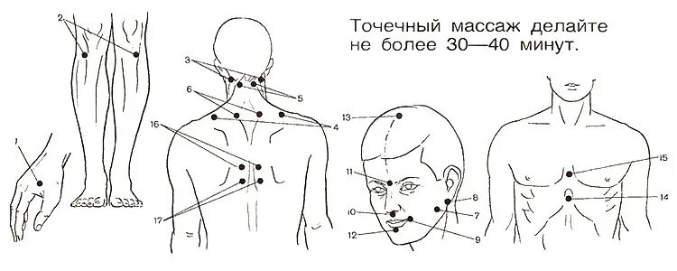 Точки самомассажа. Точечный массаж при заикании у детей. Биологически активные точки при энурезах у детей. Массажные точки при заикании у детей. Точечный массаж от заикания для детей.