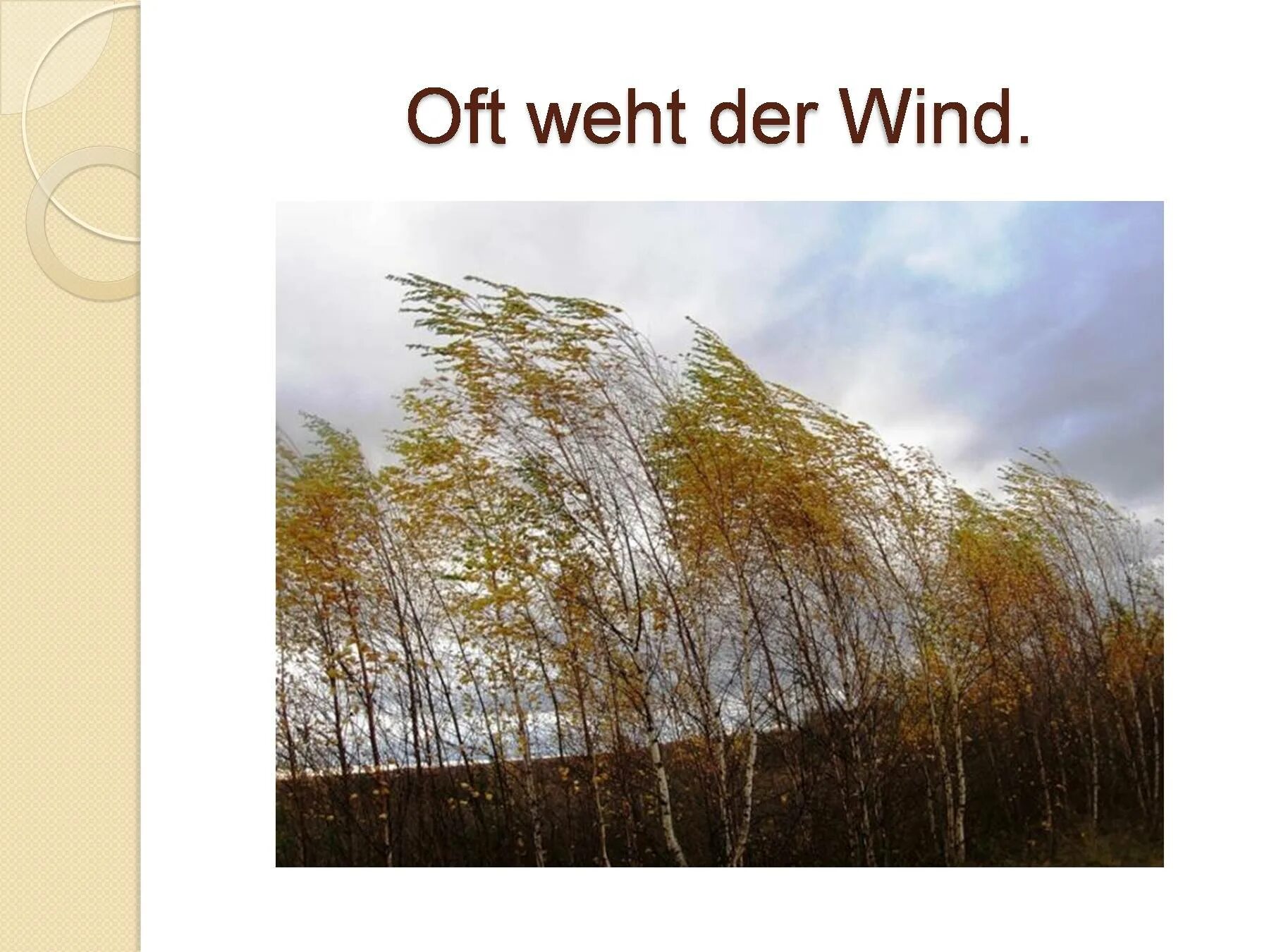 Сильный ветер осень. Сильный ветер осенью. Осень дует сильный ветер. Ветер верхушки деревьев. Где дуют сильные ветры