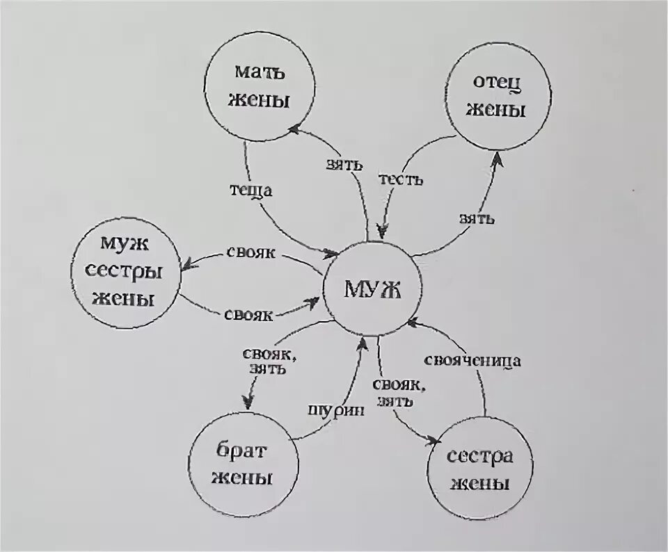 Кем приходится родной брат жены мужу