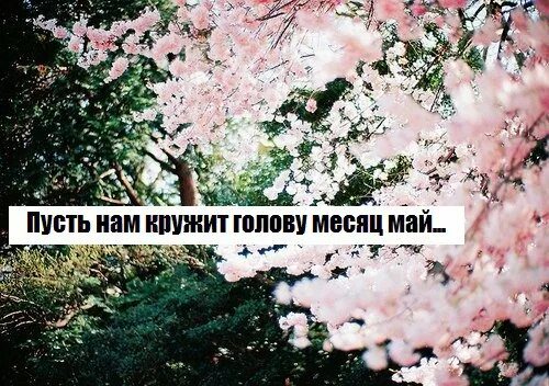 Красота души. Стихотворение про осеннее платье. Вальс осени стихи. Куда уходит детство песня текст. Кружит май песня.