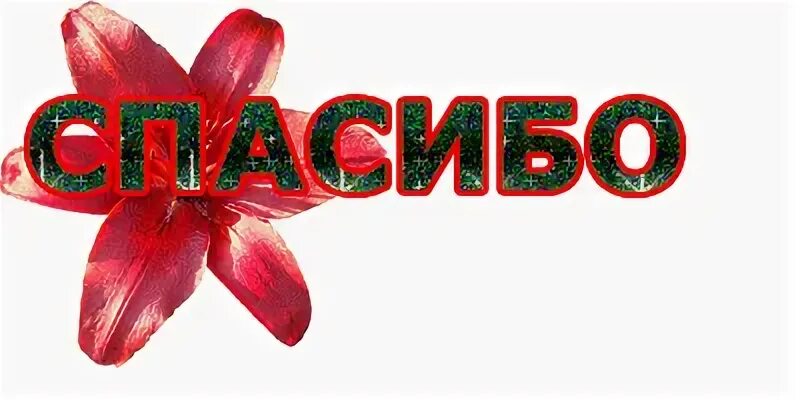 Спасибо ане. Стикер спасибо. спасибо надпись. стикеры со словом спасибо. спасибо надпись красивая.