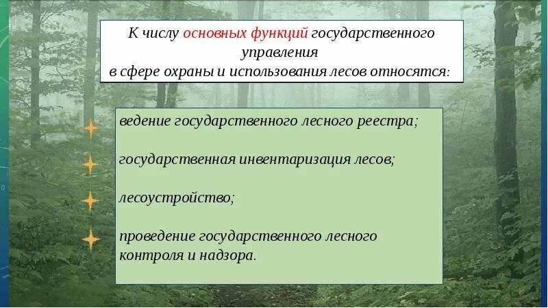 Государственное управление использования и охраны природного ресурса. Функции государственного управления лесами. Функции государственного использования и охраны лесов. Функций государственного лесного управления. Государственное управление в лесу.