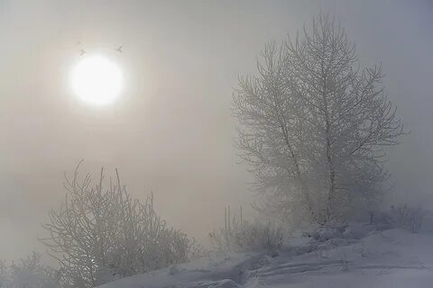 Туман в морозный день