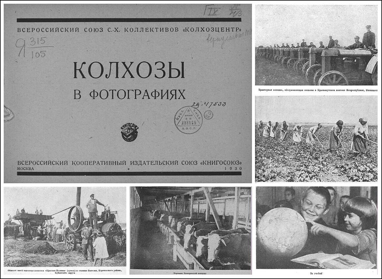 Колхоз чат. Колхоз чат. Колхоз ромашка. Колхоз чат. Колхоз чат.