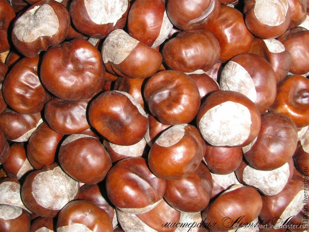 Украшения из каштана. Каштанчик орех. Коробочка каштана. Шкатулки из конского каштана. Поделки из каштанов.