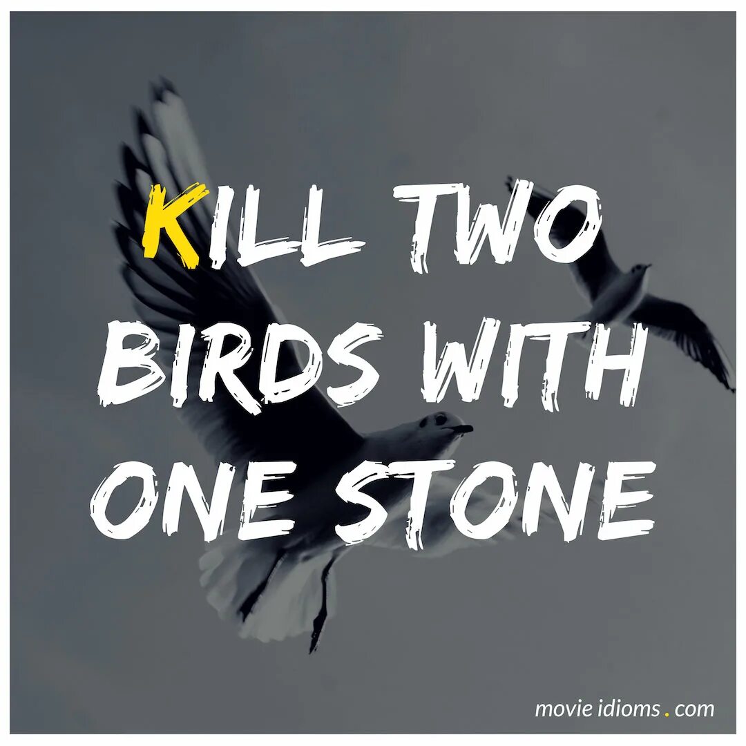 To Kill two Birds with one Stone идиома. Kill two Birds with one Stone. Kill two Birds with one Stone idiom. Kill 2 Birds with 1 Stone.