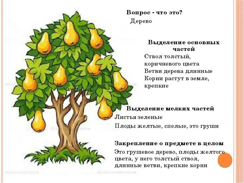 Текст каких только фруктовых деревьев