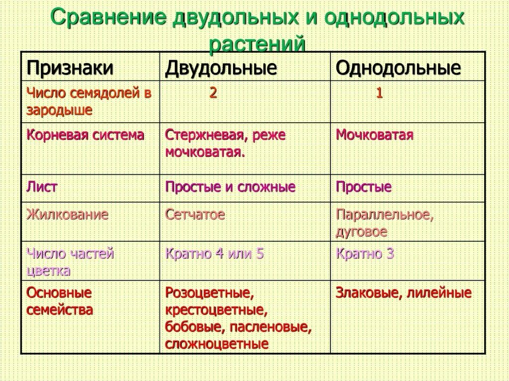 Главное различие двудольных и однодольных. Признаки однодольных и двудольных растений таблица. Сравнение однодольных и двудольных растений таблица. Однодольные и двудольные характеристика таблица. Признаки классов однодольных и двудольных растений таблица.