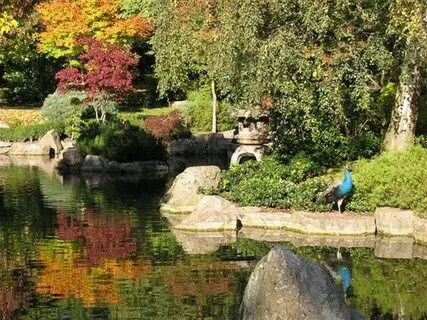 Holland park фото