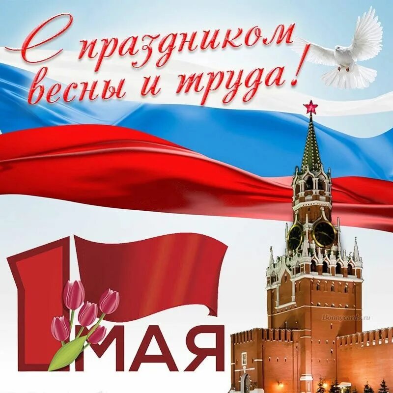 Какой праздник празднуется 1 мая. 1 мая праздник весны и труда. 1 мая праздник. поздравление с 1 мая. открытки с 1 мая.