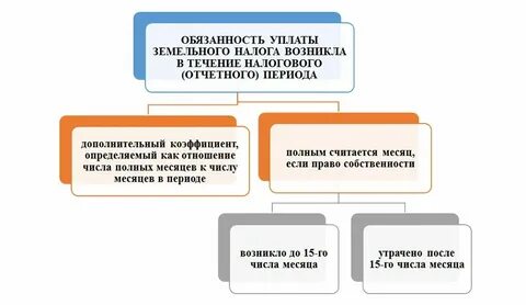 Почему платим земельный налог
