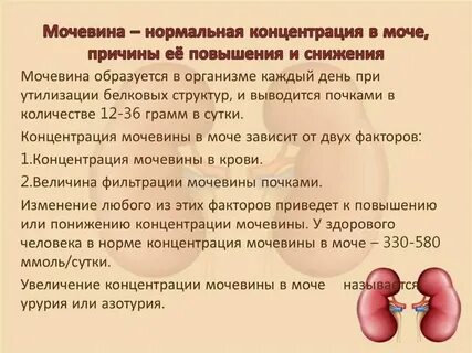 Снижение креатинина у детей