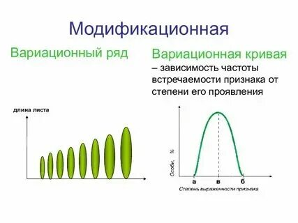 Как определить частоту встречаемости признака