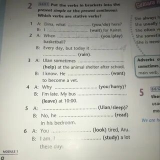 Complete the sentences put the verbs